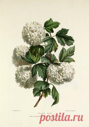 Найдено на сайте rhsprints.co.uk.