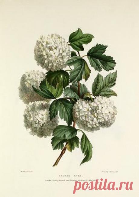 Найдено на сайте rhsprints.co.uk.