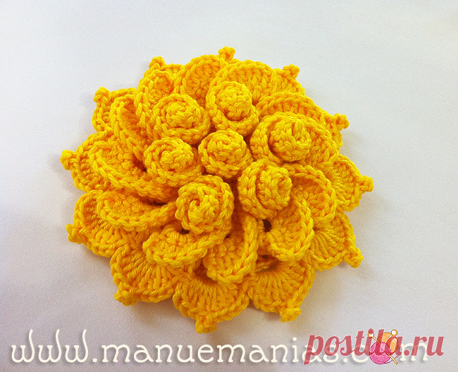 Майский цветок Soraia Bogossian