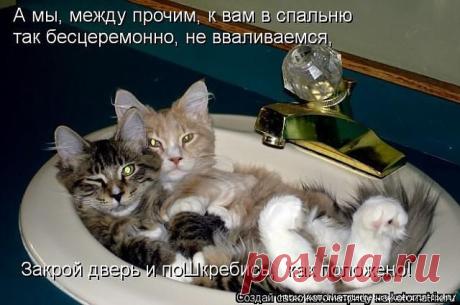 (3) Одноклассники