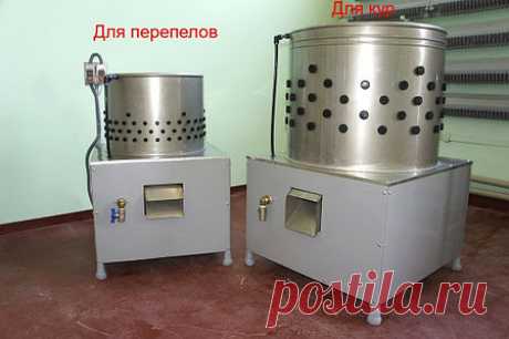 Заказывайте Машина для снятия оперения перепела по выгодной цене, 754213494