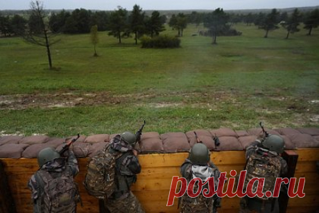 Экс-комбрига ВСУ обвинили в торговле наркотиками в зоне конфликта