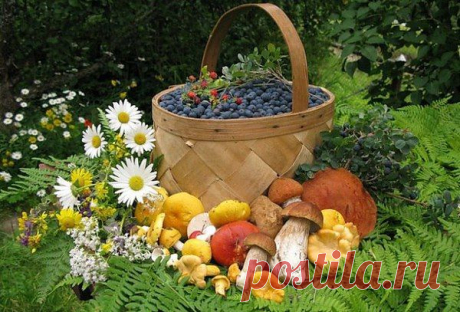 Интересные новости