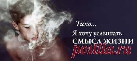 Системно-векторная психология