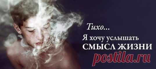 Системно-векторная психология