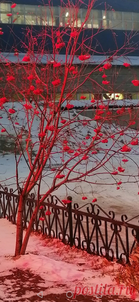 Осенние сумерки