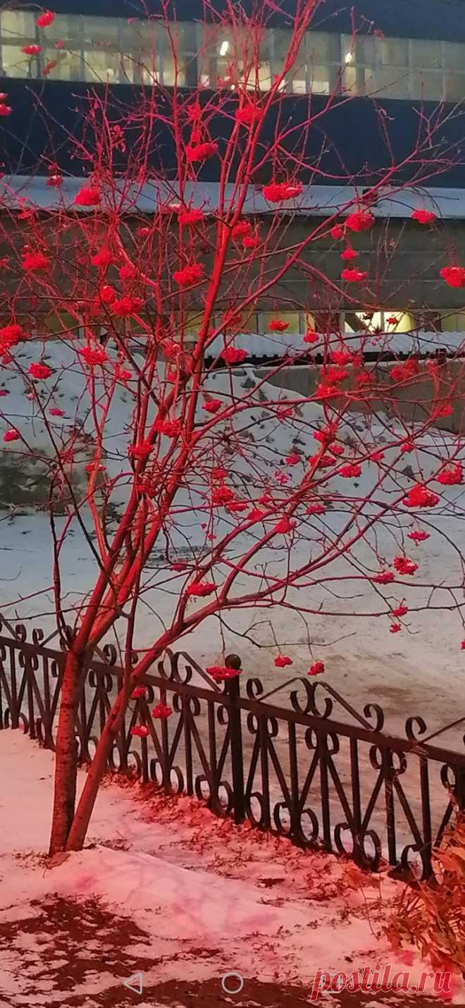Осенние сумерки