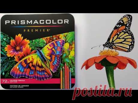 обзор карандашей призмаколор карандаши prismacolor 72