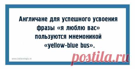 Много занимательных фактов о русском языке