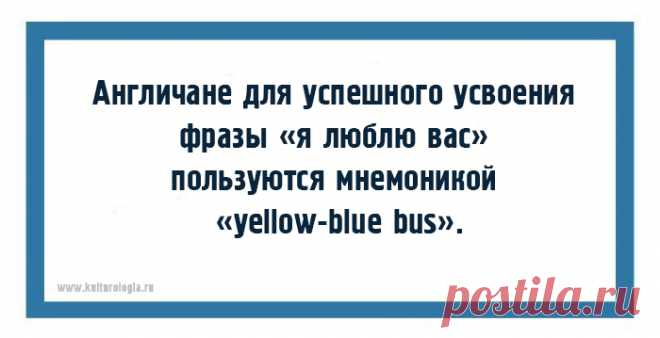 Много занимательных фактов о русском языке