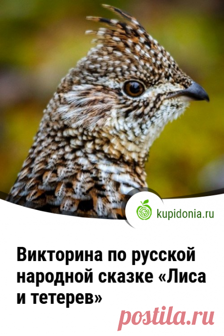 Викторина по русской народной сказке «Лиса и тетерев». Интересный тест по русской народной сказке «Лиса и тетерев» из серии «Сказки народов мира». Пройдите тест на сайте и проверьте свои знания!