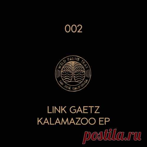 Link Gaetz - Kalamazoo [Wild Palms Trax]