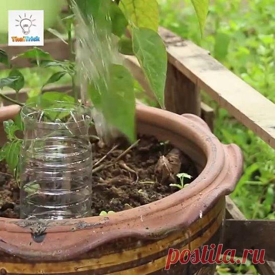 8 вещей, которые можно сделать из обычной пластиковой бутылки. Экономно и практично!