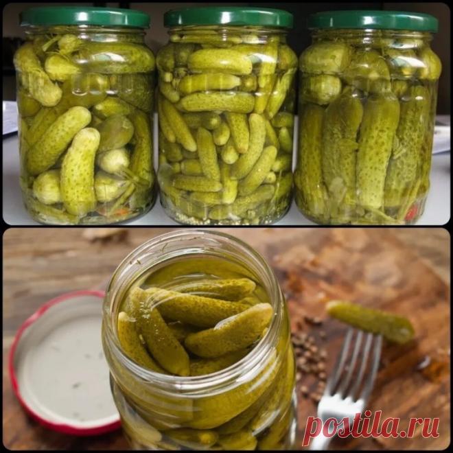 Маринованные сладкие огурчики. Вкус такой, что за раз съешь всю банку!


Ингредиенты:
Огурцы свежие (сколько войдёт в банку) ;
Зонтики укропа — 2-3 шт;
Лист хрена — 1-2 шт;
Лавровый лист — 3 шт;
Перец чёрный горошек — 4 шт;
Перец душистый горошек — 4 шт;
Чеснок — 4-5 зуб.;
Сахар (на 1 литр воды) — 150 г;
Соль (на 1 литр воды) — 40 г;
Лимонная кислота (на 1 литр воды) — 1 ч.л.

Приготовление:
На дно банок уложить все специи и наполнить банки огурцами, отрезав у них кончики....