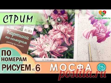 Раскрашиваем картину по номерам МОСФА &quot;Астры&quot; 6 ЧАСТЬ в прямом эфире! Рисовать просто! Раскраски