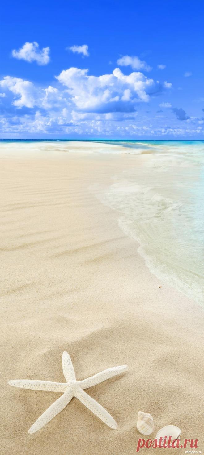 Скачать летний пейзаж на экран смартфона.