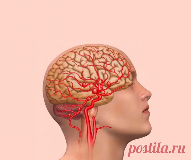 Как поддерживать здоровье мозга при помощи питания В рационе наших предков имелось большое количество насыщенных жиров, и практически не было сахара и быстрых углеводов. Сейчас, подавляющее большинство употребляет чрезмерное количество углеводов, вдобавок прошедших рафинирование и интенсивную обработку.