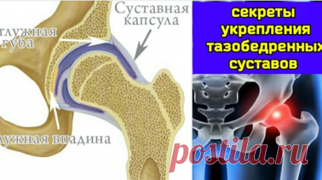 Истощение капсулы тазобедренного сустава не даёт жить ногам и мозгу. Упражнения для восстановления синовиального питания | Причины Здоровья | Дзен
