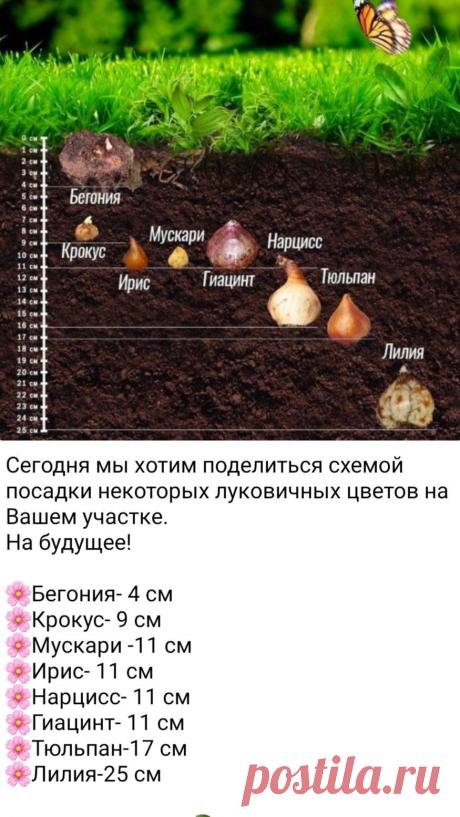 64bd0095bebb485c5ae1f970fd63159f.jpg (875×1555)