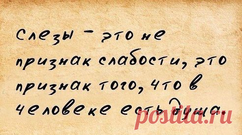 Афоризмы и цитаты 12 часть 11