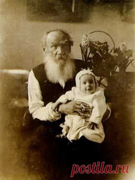 Толстой   |  Pinterest