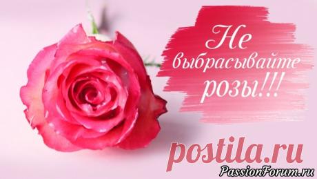 БОЛЬШЕ НЕ НУЖНО ВЫБРАСЫВАТЬ ЦВЕТЫ! Как продлить жизнь цветам! | Другие виды рукоделия Всем привет! В этом видео я покажу как можно сохранить внешний вид роз и других цветов, покрыв их воском или парафином.Такие цветы можно использовать в декоре.Также такой способ сохранения цветов можно назвать консервация.Мне понадобились такие материалы:-цветы, в данном случае...