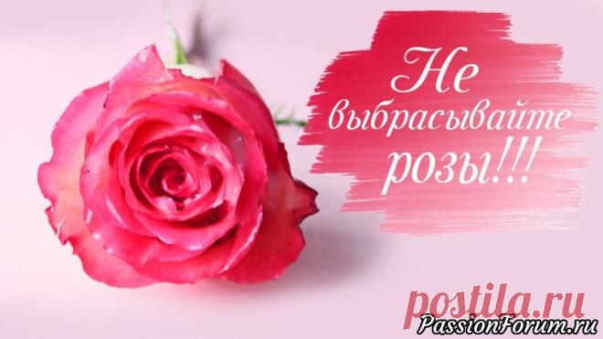 БОЛЬШЕ НЕ НУЖНО ВЫБРАСЫВАТЬ ЦВЕТЫ! Как продлить жизнь цветам! | Другие виды рукоделия Всем привет! В этом видео я покажу как можно сохранить внешний вид роз и других цветов, покрыв их воском или парафином.Такие цветы можно использовать в декоре.Также такой способ сохранения цветов можно назвать консервация.Мне понадобились такие материалы:-цветы, в данном случае...