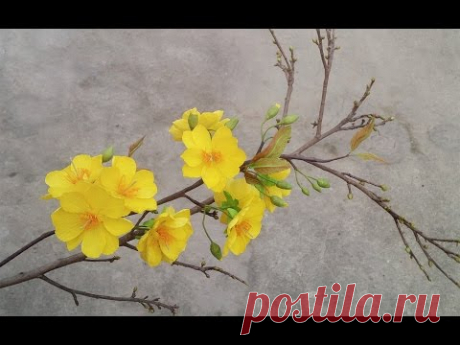 ABC TV | How To Make Yellow Apricot Blossom Paper Flower  From Crepe Paper - Craft Tutorial