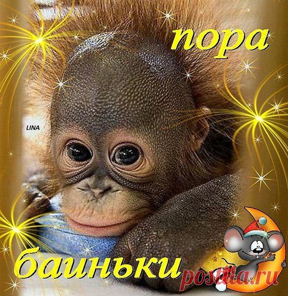 СПОКОЙНОЙ НОЧИ, ДРУЗЬЯ! ВОЛШЕБНЫХ И ДОБРЫХ СНОВИДЕНИЙ !
Ночь подкралась незаметно,
Погрузив все в темноту,
Сладких снов желают деткам
Дарят им всю теплоту,
Взрослым тоже все желают,
Доброй ночи, сладких снов,
Беззаботных, легких, крепких,
Словно в детстве, без оков.
Пожелать тебе хочу я,
Чтоб ты ночью отдохнул,
Чтобы утром просыпаясь,
Целый мир перевернул!
