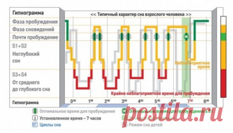 Что такое сон и сновидения? И для чего они нужны?