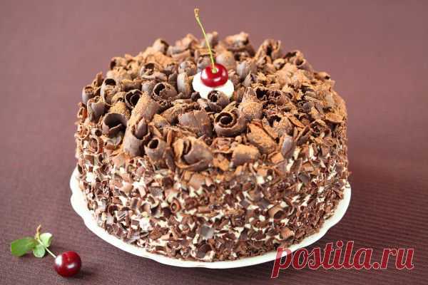 Вкусные рецепты