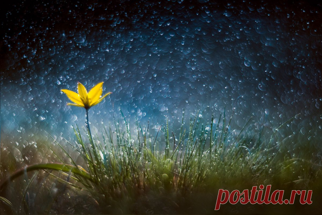 35PHOTO - Татьяна Аверина - ...межпланетная весна...