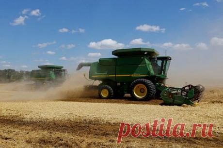 В США заявили о переговорах по расширению альтернативных маршрутов для зерна. США ведут переговоры с Турцией, Украиной и ее соседями о расширении альтернативных экспортных маршрутов для украинского зерна. Об этом сообщает The Wall Street Journal. Отмечается, что поддерживаемый США план предполагает увеличение мощности по экспорту до четырех миллионов тонн зерна в месяц через Дунай к октябрю.