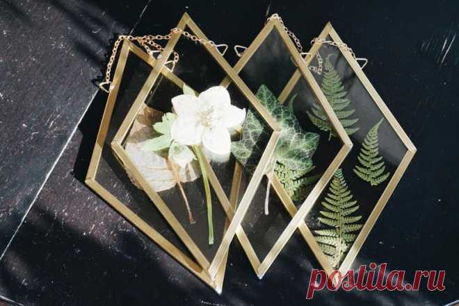 Pressed Flowers Set of 4 Rhomb Frames Herbarium Set Wall | Etsy