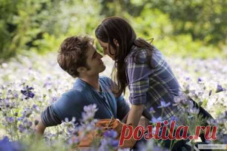 Плейкаст «ВАСИЛЕК»