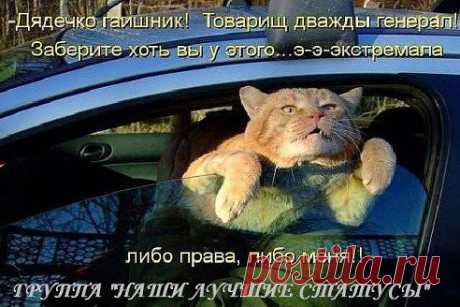 ღ♣ღ♣ღНАШИ ЛУЧШИЕ СТАТУСЫ!ღ♣ღ♣ღ★❶. Добавлена фотография в альбом •●♥●•ღ УЛЫБНИСЬ (смешные картинки с...