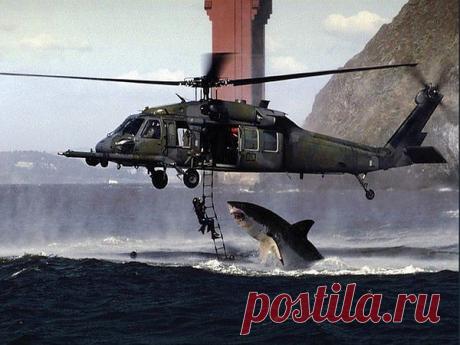 Мой Мир@Mail.Ru