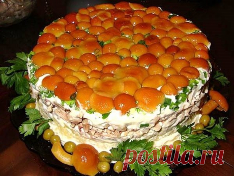 Книга кулинарных рецептов