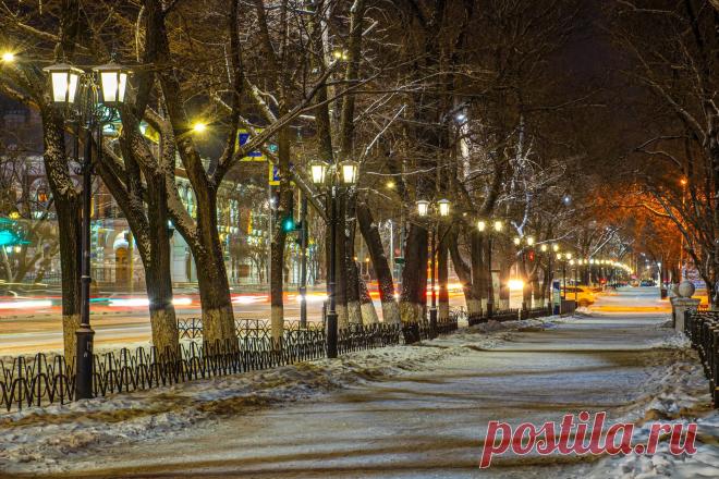 Яндекс Картинки: поиск похожих изображений