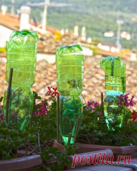 Капельный полив растений: лайфхак, на который не нужно тратить деньги — Домашние заботы