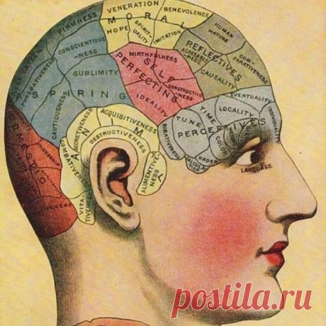 Как развить память : советы эксперта