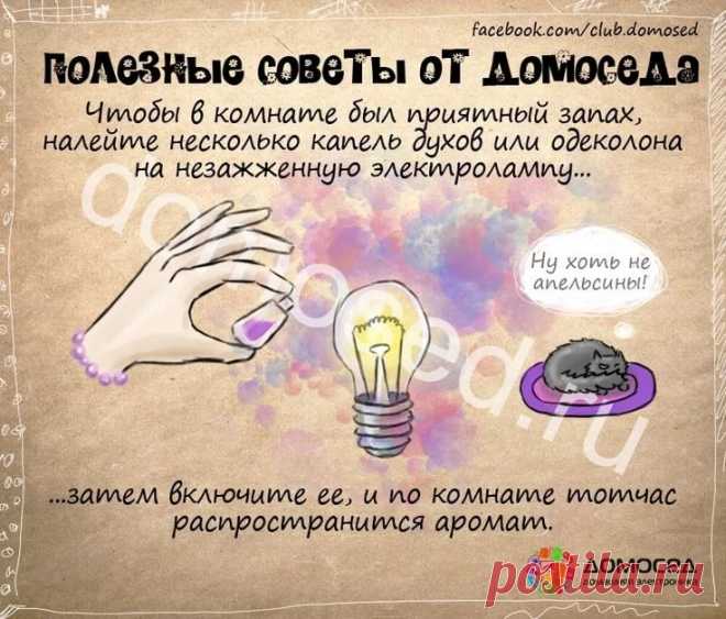 рецепты в картинках на все случаи жизни: 11 тыс изображений найдено в Яндекс.Картинках