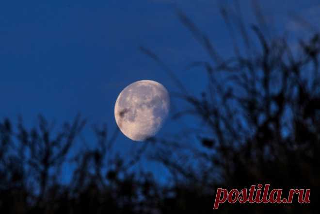 Когда по-настоящему начнется год Крысы и что в этот день ждать миллионам россиян - YakutiaMedia По восточному календарю год Белой Металлической Крысы наступит вовсе не 1 января, а 25-го января. Астрологи рассказали, чего ждать от звезд в этот день.