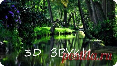 Звуковая терапия. Полезно и приятно!
Добавляйте себе и наслаждайтесь!