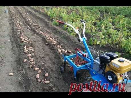 Картофелекопалка  самокопалка