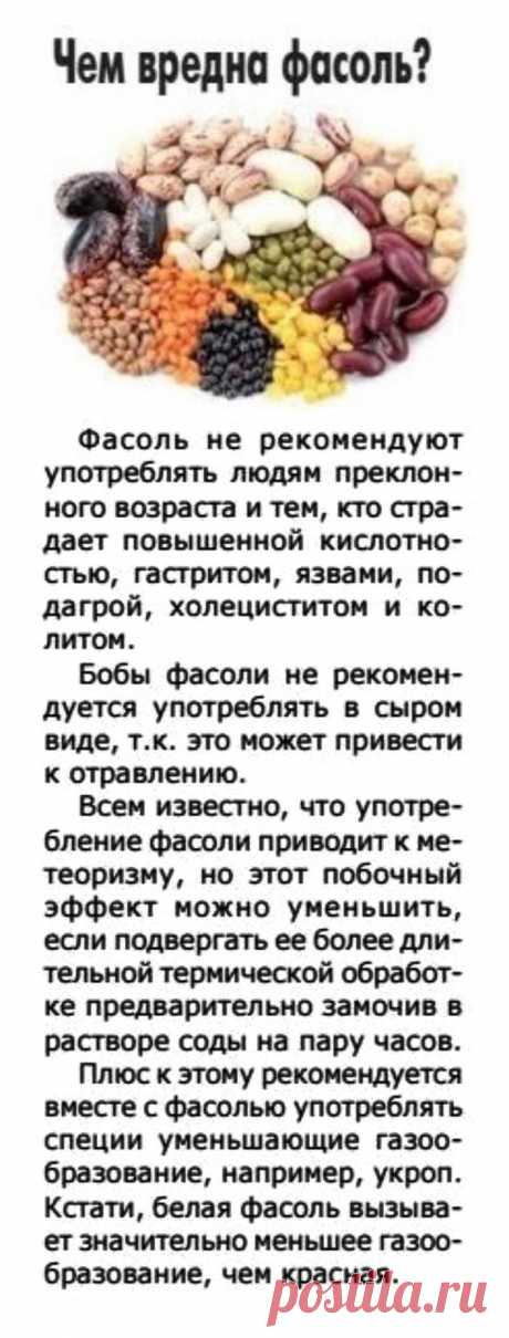 Чем вредна фасоль?