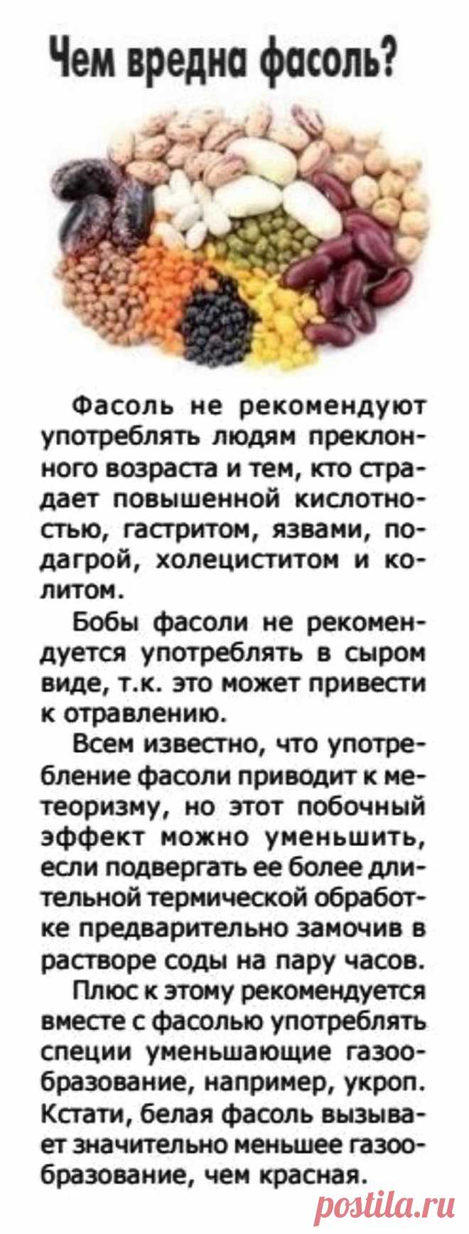 Чем вредна фасоль?