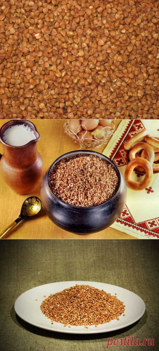 (+1) тема - Гречка в народной медицине | Первая помощь