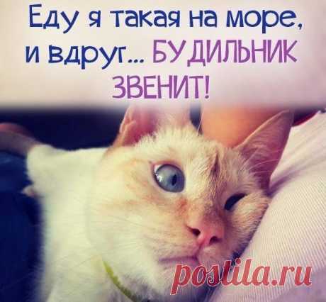 Валентина Гицба