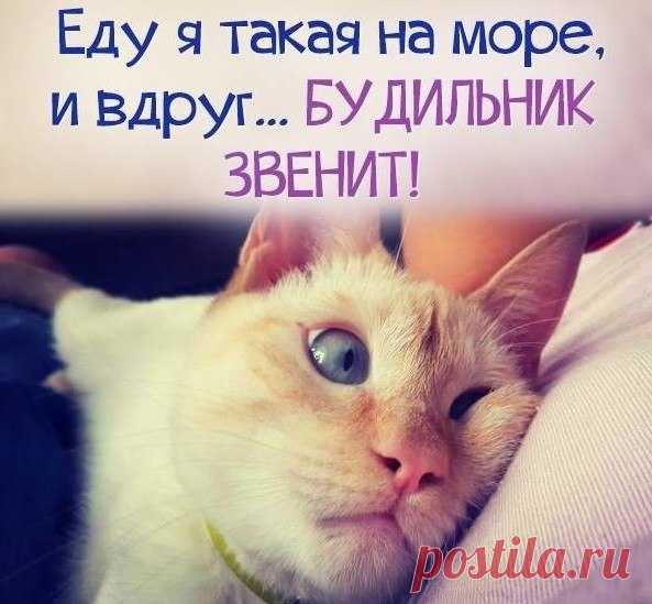 Валентина Гицба